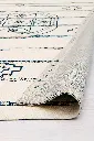 LNL_010 swoosh.webp